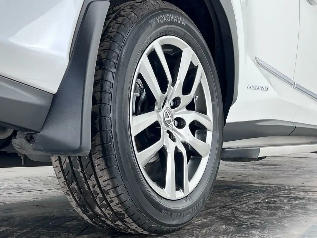 2019-lexus-nx-300h-25-nx-big-11