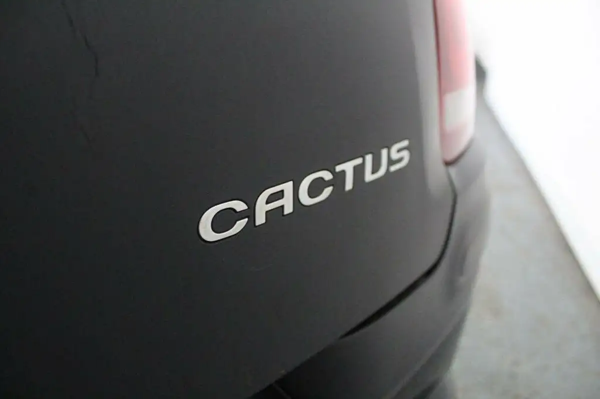 2016-citroen-c4-cactus-16bluehdi-flair-big-10