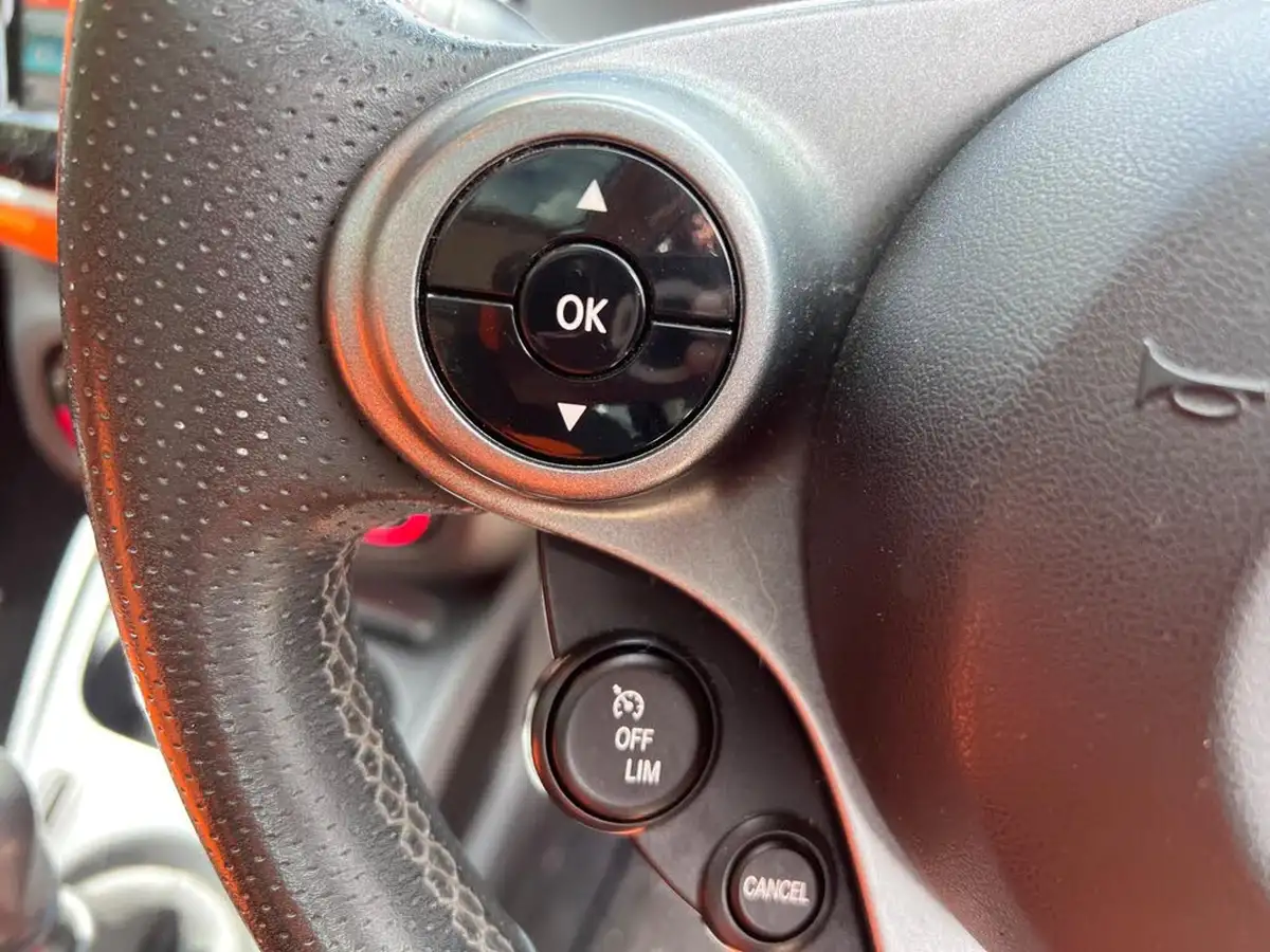 2015-smart-forfour-09-edition-1-big-34