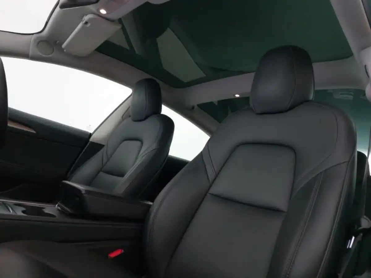 2021-tesla-model-3-e-long-range-awd-big-11
