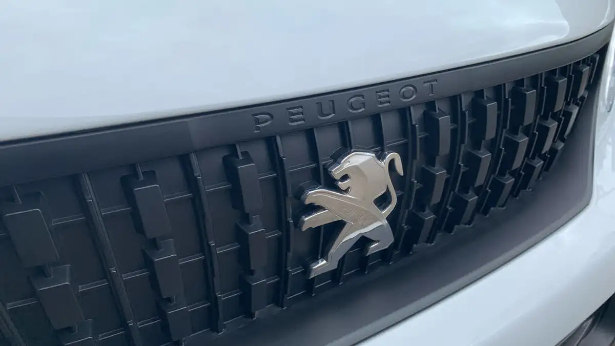 2023-peugeot-expert-15-bluehdi-professional-premium-standard-1000-big-28