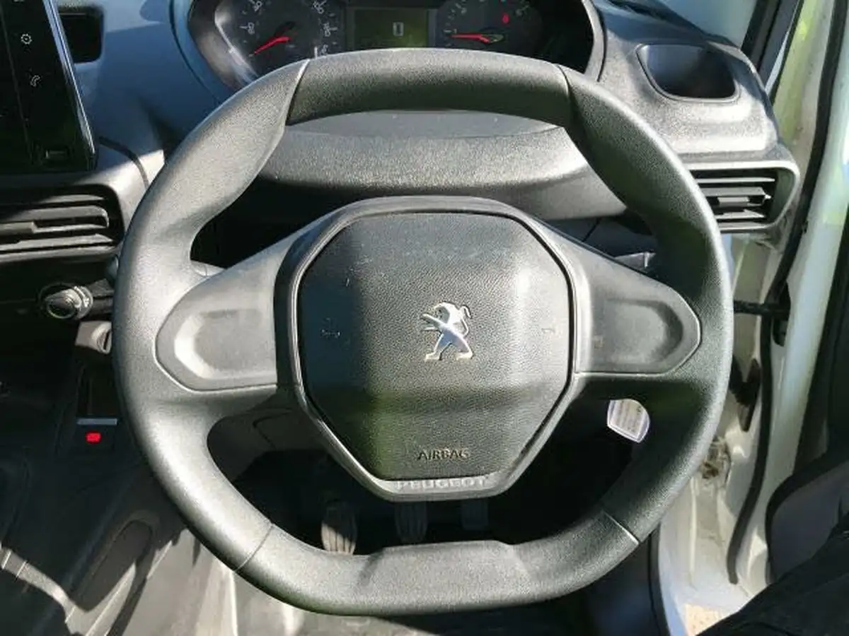 2020-peugeot-partner-15-bluehdi-1000-professional-100ps-eu6dt-panel-big-12