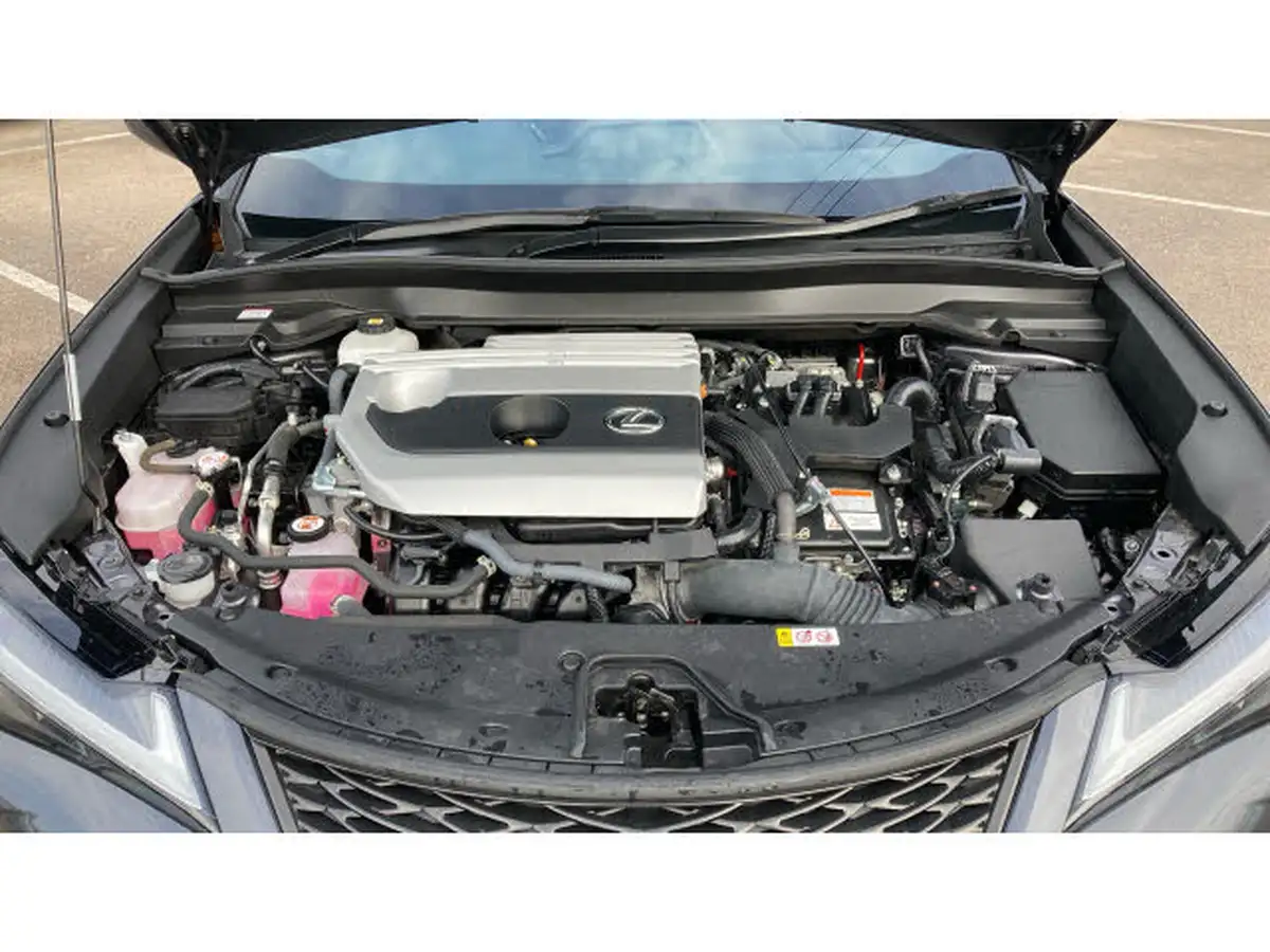 2023-lexus-ux-250h-20-f-sport-design-big-7