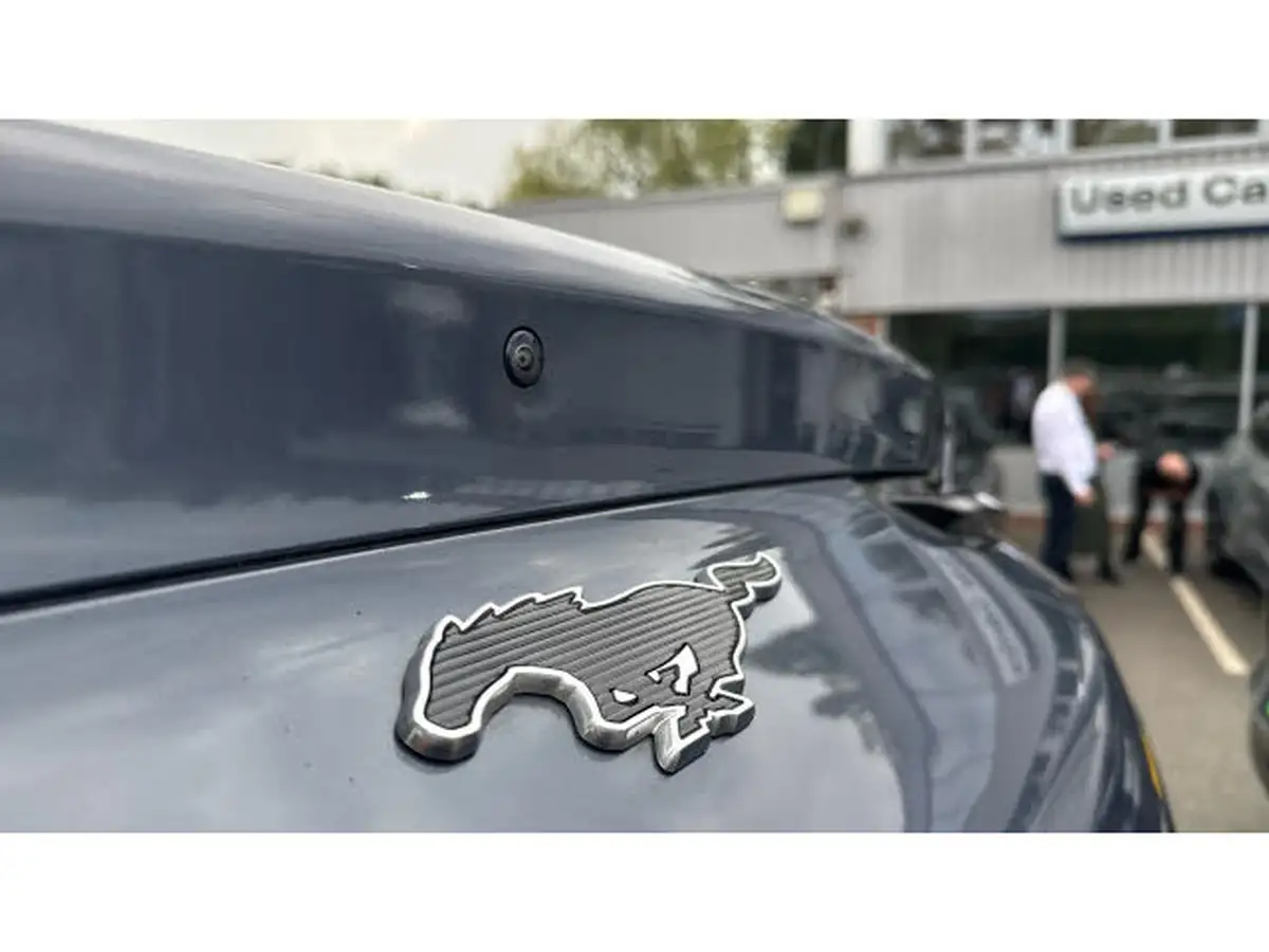 2021-ford-mustang-mach-e-e-extended-range-351ps-88kwh-awd-big-31