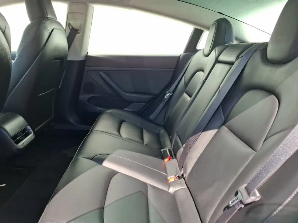 2021-tesla-model-3-e-standard-plus-big-5