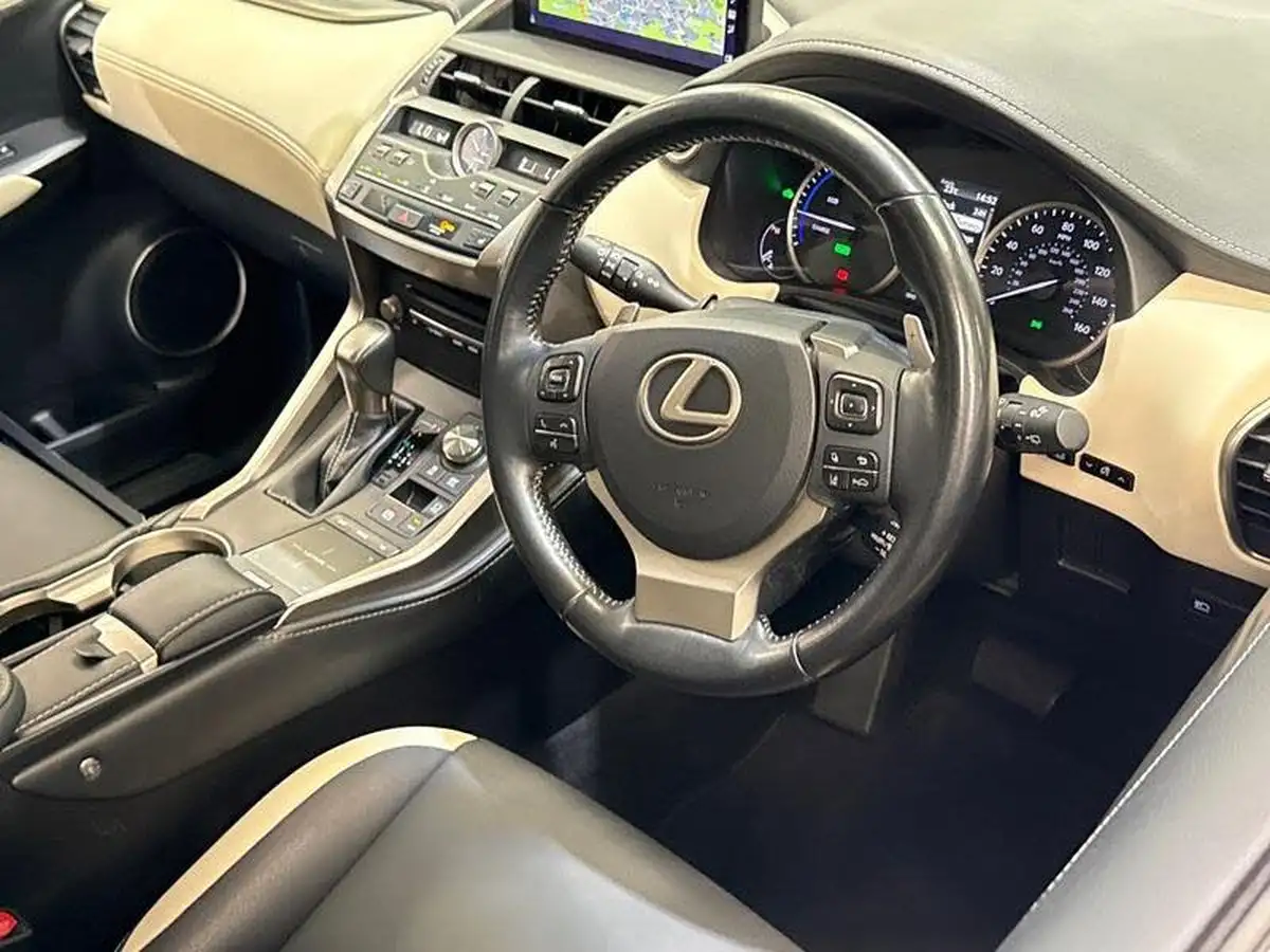 2018-lexus-nx-300h-25-nx-sport-pack-big-2
