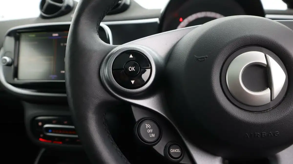 2021-smart-forfour-eq-premium-big-26