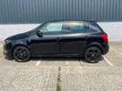 2013-skoda-fabia-16td-monte-carlo-small-28