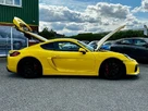 2016-porsche-cayman-38-gt4-small-8