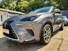 2018-lexus-nx-300h-25-luxury-p-navi-convenience-packpan-small-2