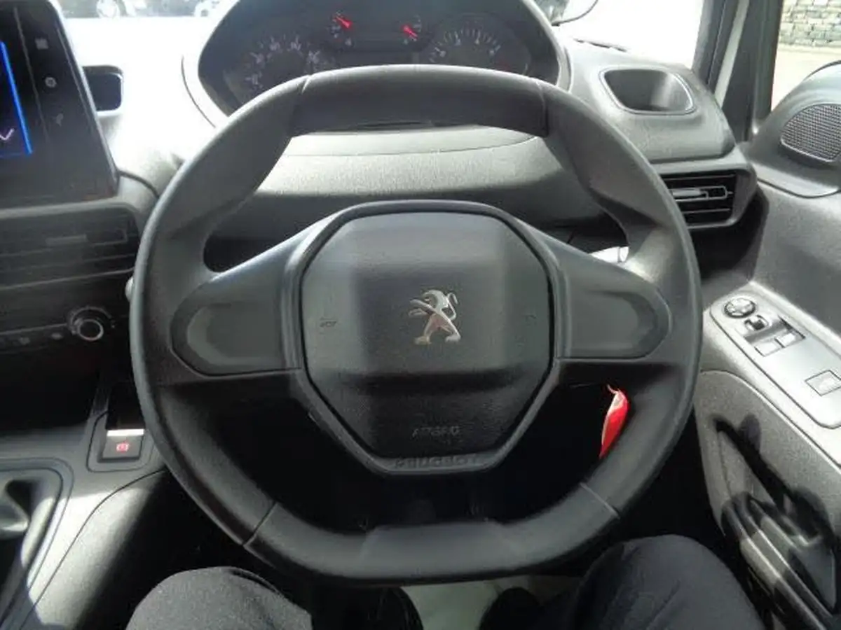 2021-peugeot-partner-15-bluehdi-1000-professional-100ps-eu6dt-panel-big-21