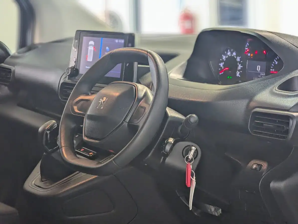 2020-peugeot-partner-15-bluehdi-1000-professional-100ps-eu6dt-panel-big-14