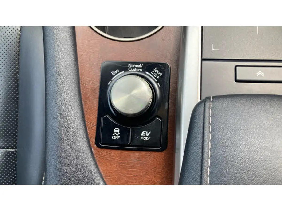 2021-lexus-rx-450h-35-takumi-4x4-sun-big-34