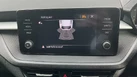 2022-skoda-fabia-10-tsi-colour-edition-109ps-dsg-small-40