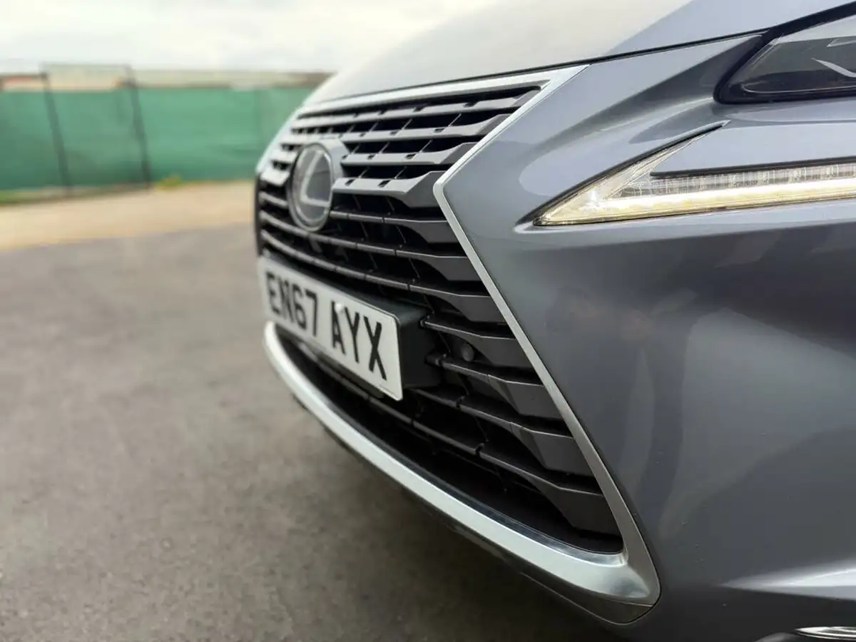 2018-lexus-nx-300h-25-luxury-big-38