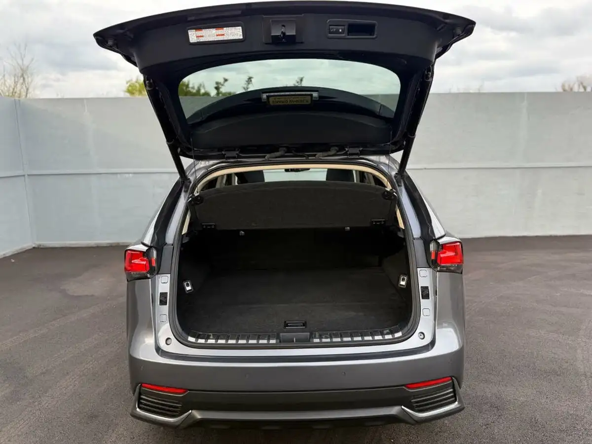 2018-lexus-nx-300h-25-luxury-big-10