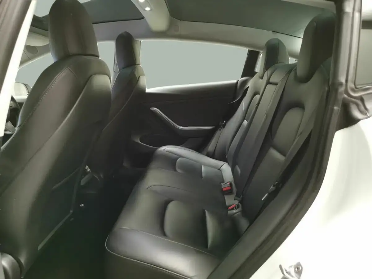 2020-tesla-model-3-e-standard-plus-big-26