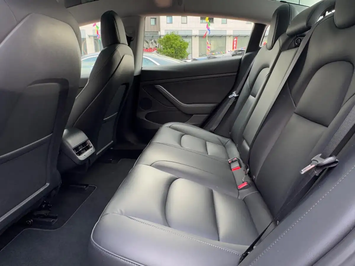 2021-tesla-model-3-e-standard-plus-big-31