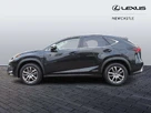 2020-lexus-nx-300h-25-nx-4wd-premium-sport-edition-small-7