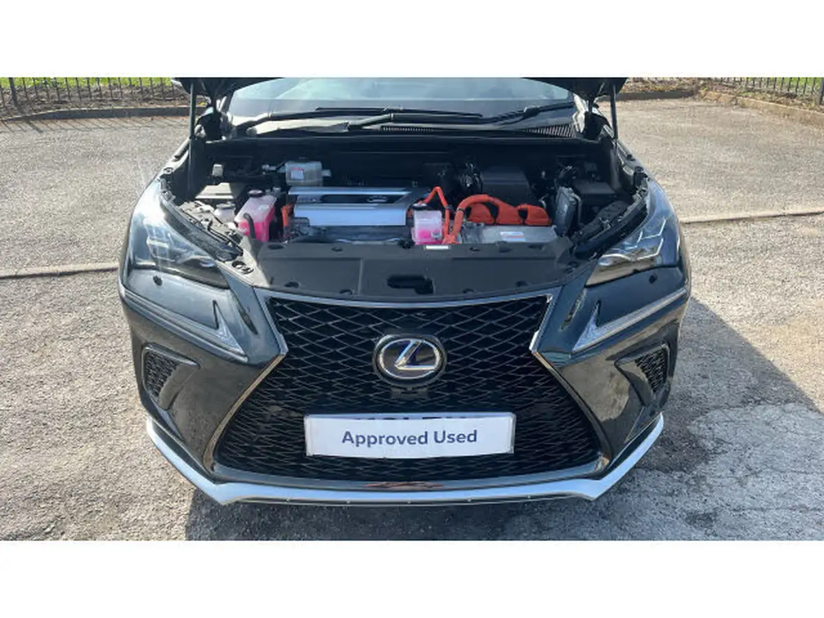 2021-lexus-nx-300h-25-f-sport-premium-pack-big-7