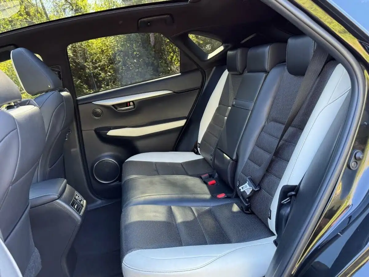 2021-lexus-nx-300h-25-f-sport-premium-pack-big-11