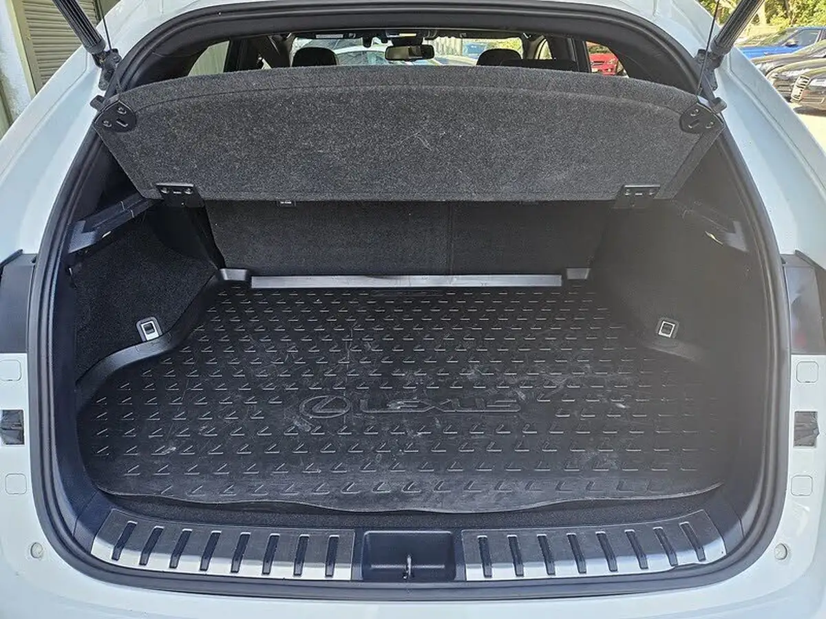 2018-lexus-nx-300h-25-f-sport-big-6
