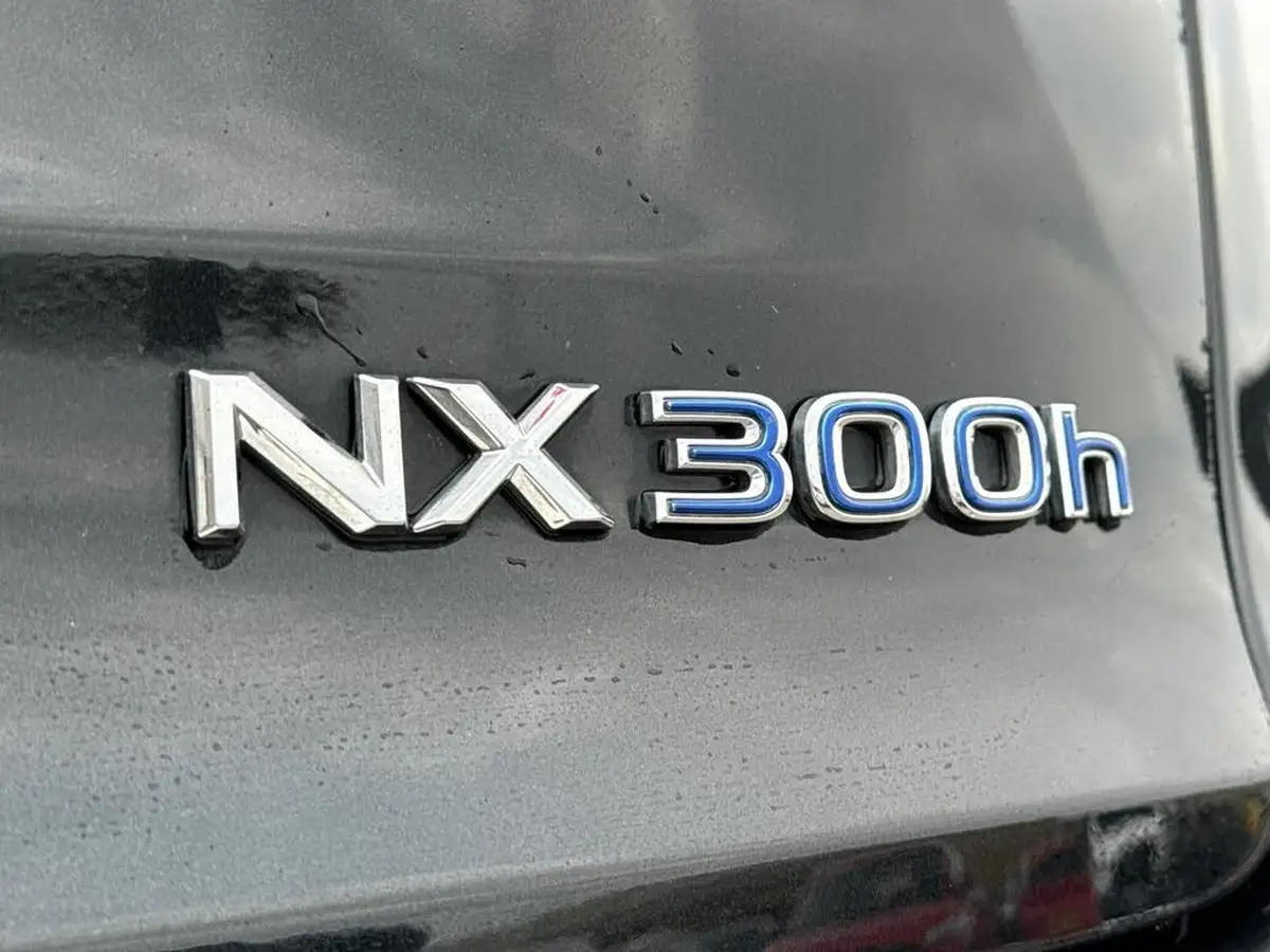 2019-lexus-nx-300h-25-nx-big-45