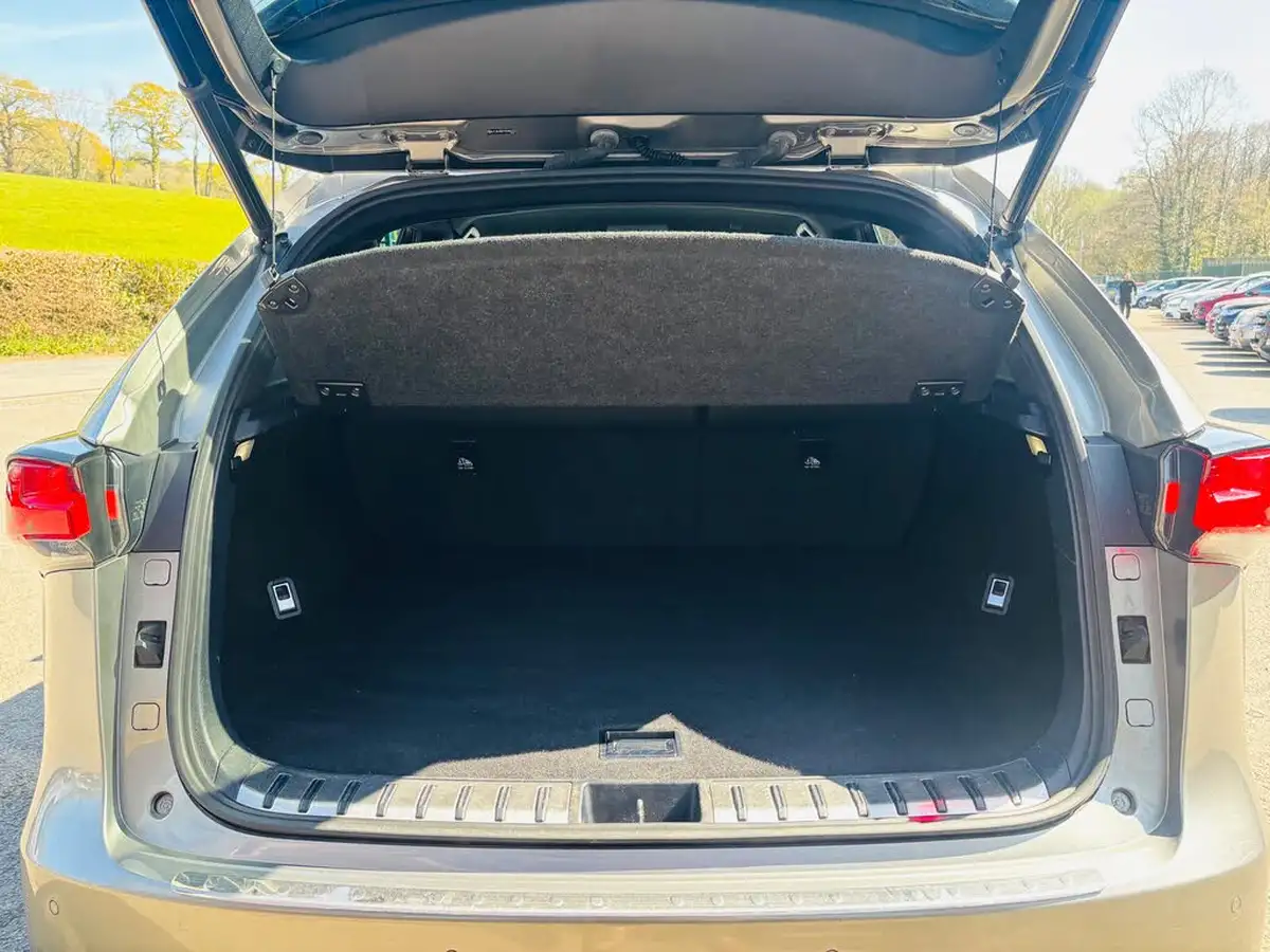 2018-lexus-nx-300h-25-f-sport-big-11