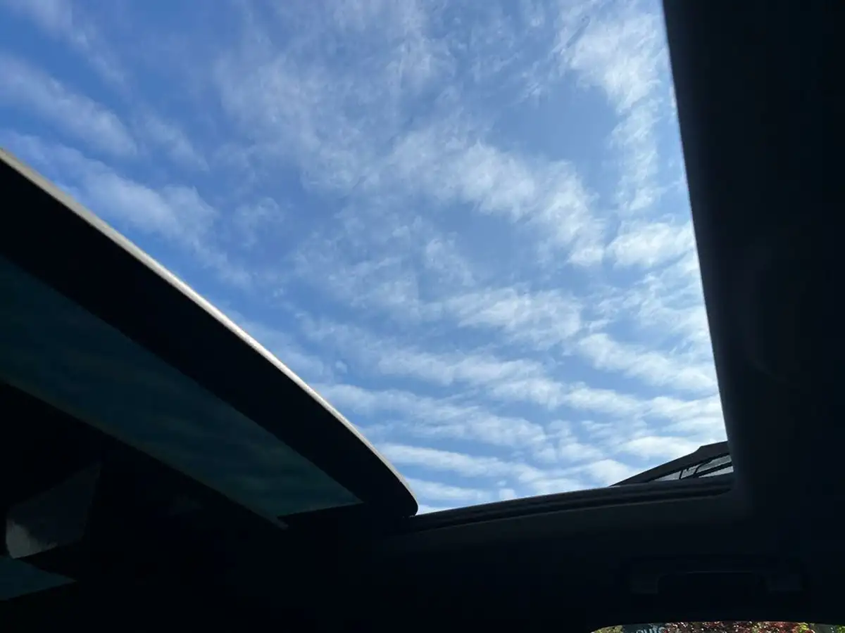 2019-audi-q7-30-50-tdi-s-line-ss-big-61