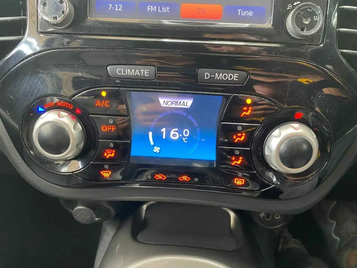 2013-nissan-juke-16-tekna-16v-1598cc-cvt-big-18