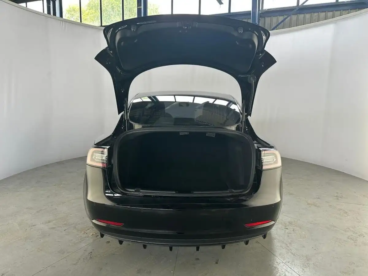 2020-tesla-model-3-e-standard-plus-big-44