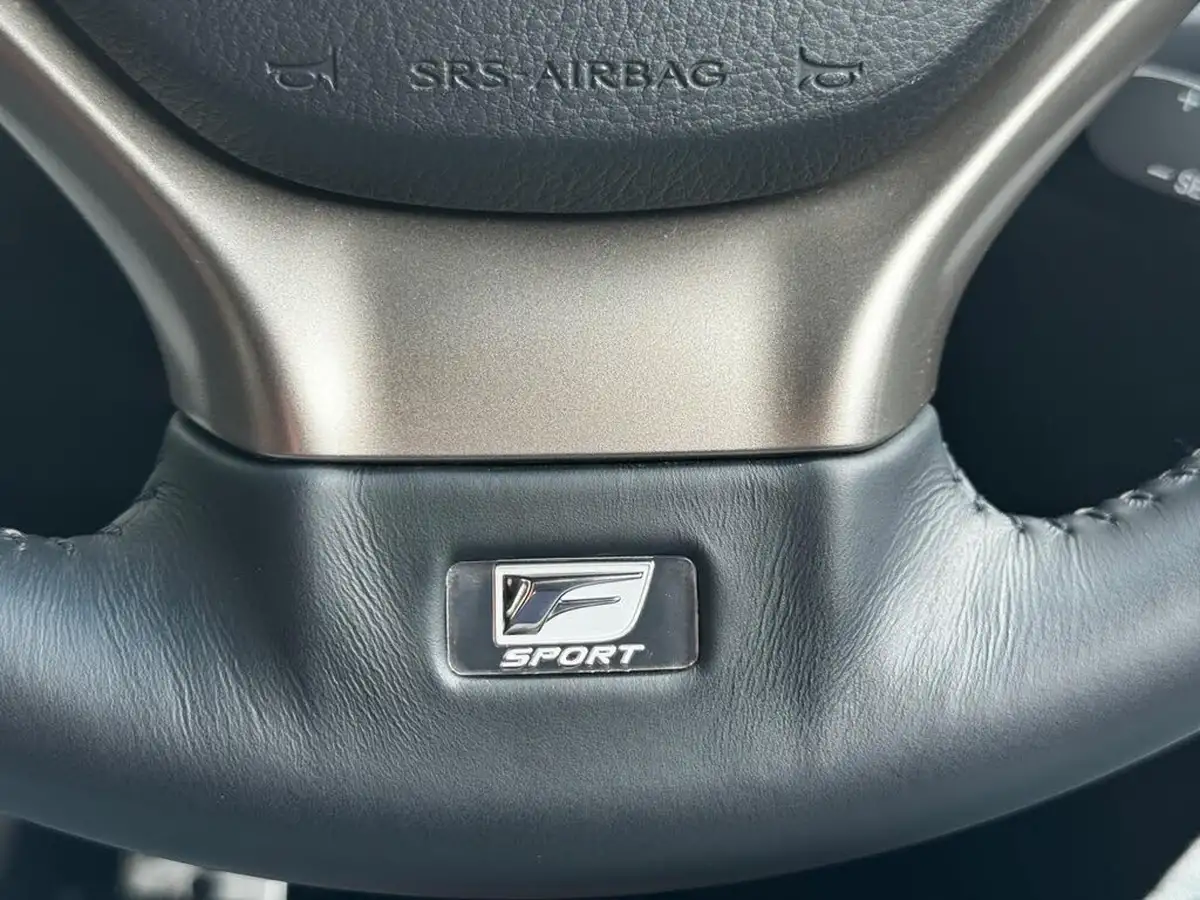 2015-lexus-rx-450h-35-f-sport-299bhp-cvt-big-31