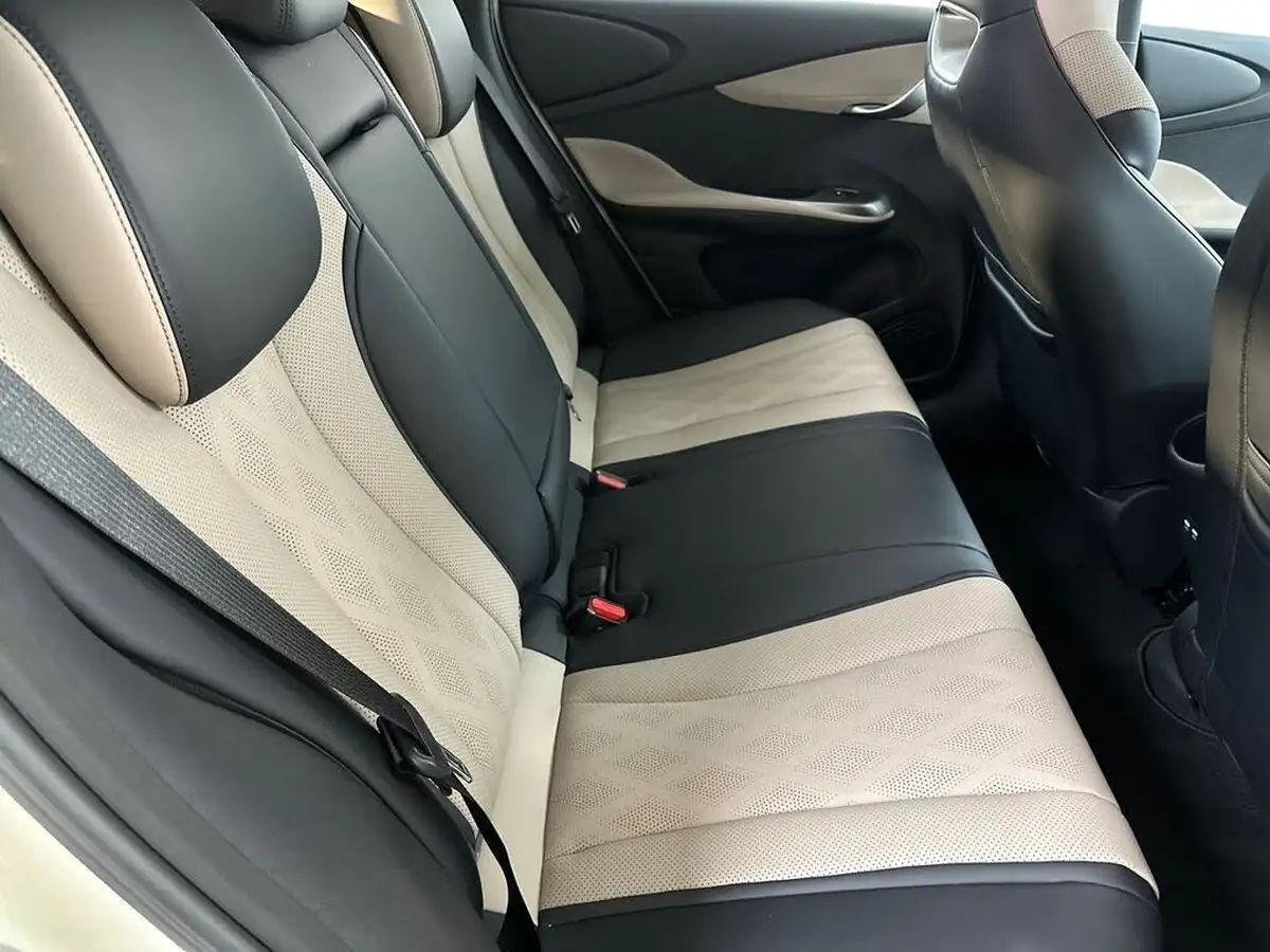 2023-byd-dolphin-e-comfort-big-13