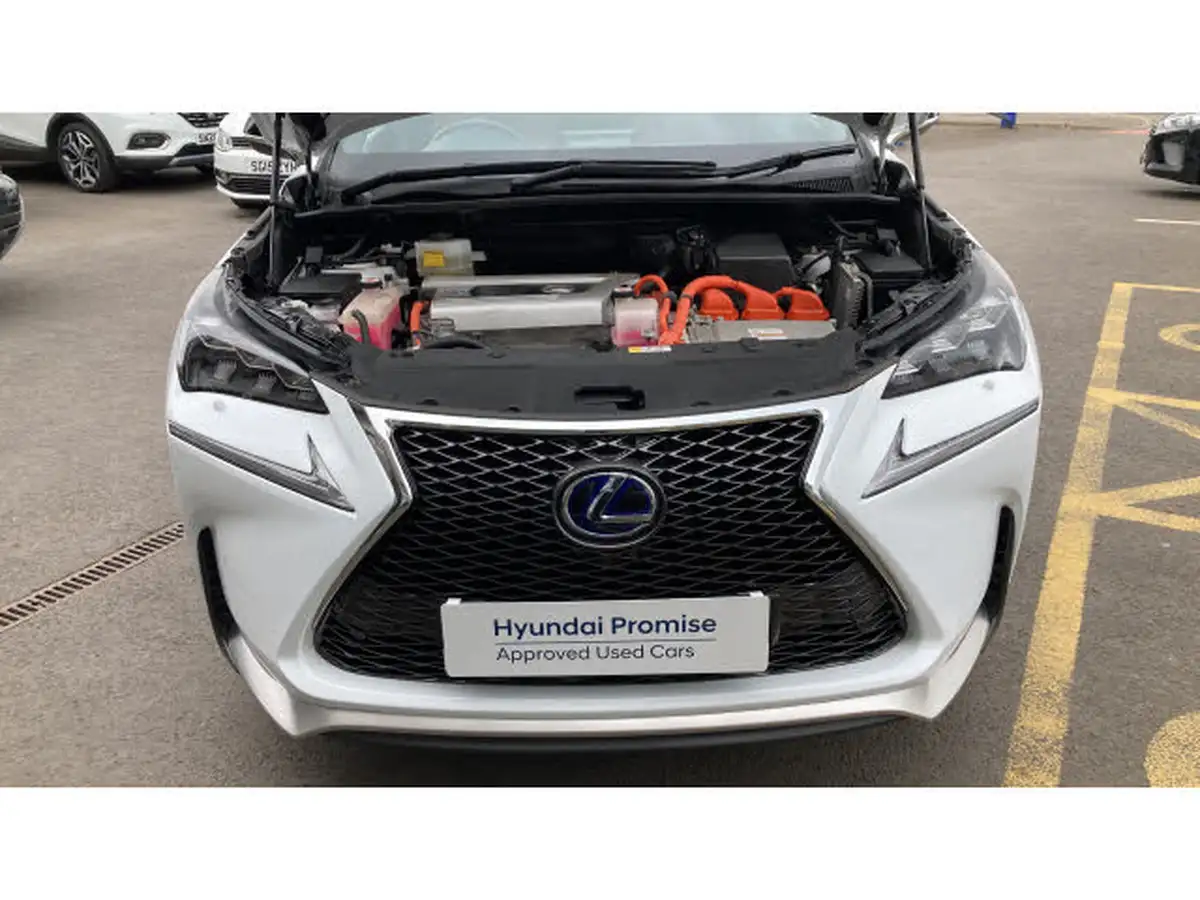 2017-lexus-nx-300h-25-f-sport-big-7