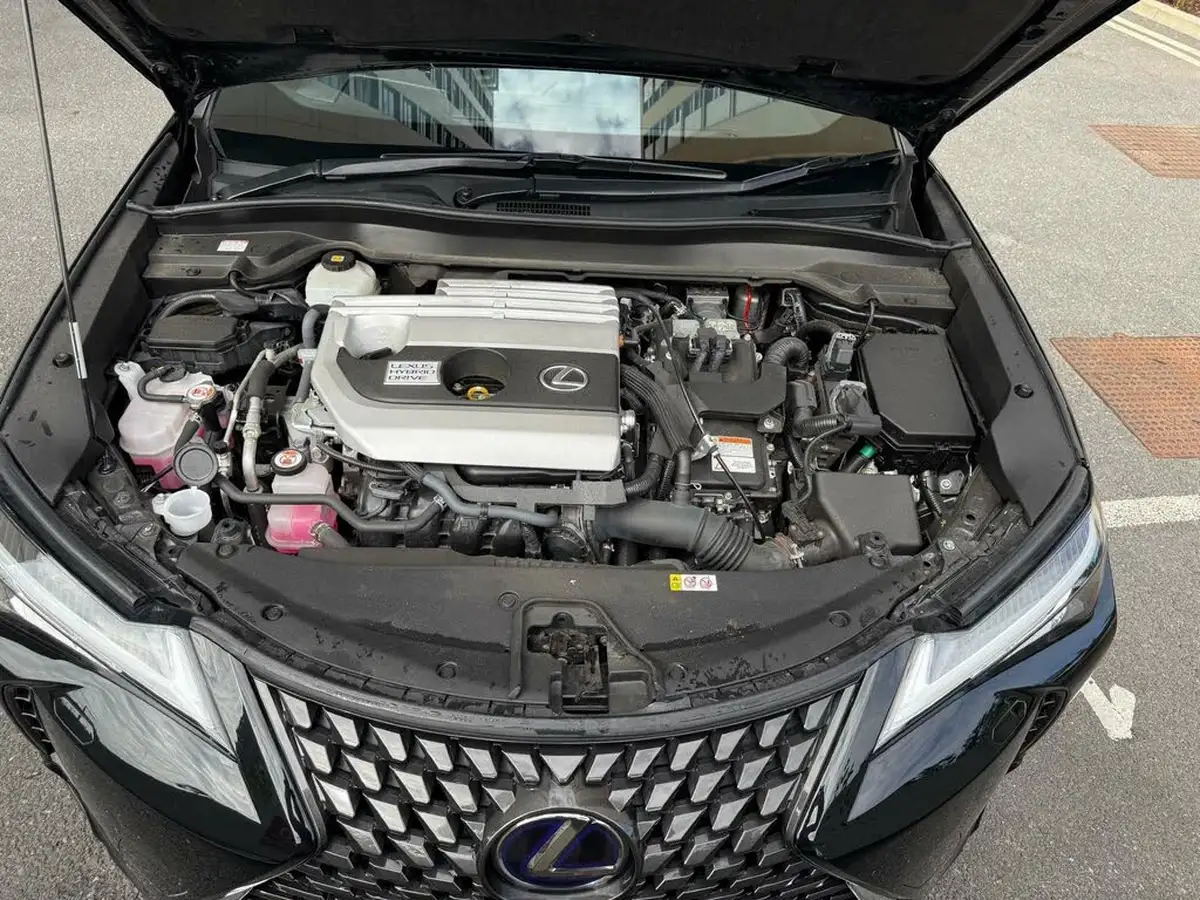 2020-lexus-ux-250h-20-ux-premium-pack-with-navigation-big-8