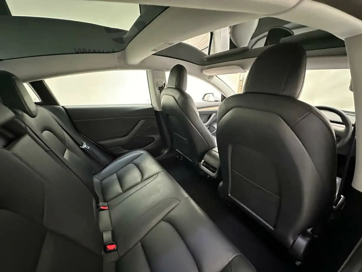 2021-tesla-model-3-e-standard-plus-big-13