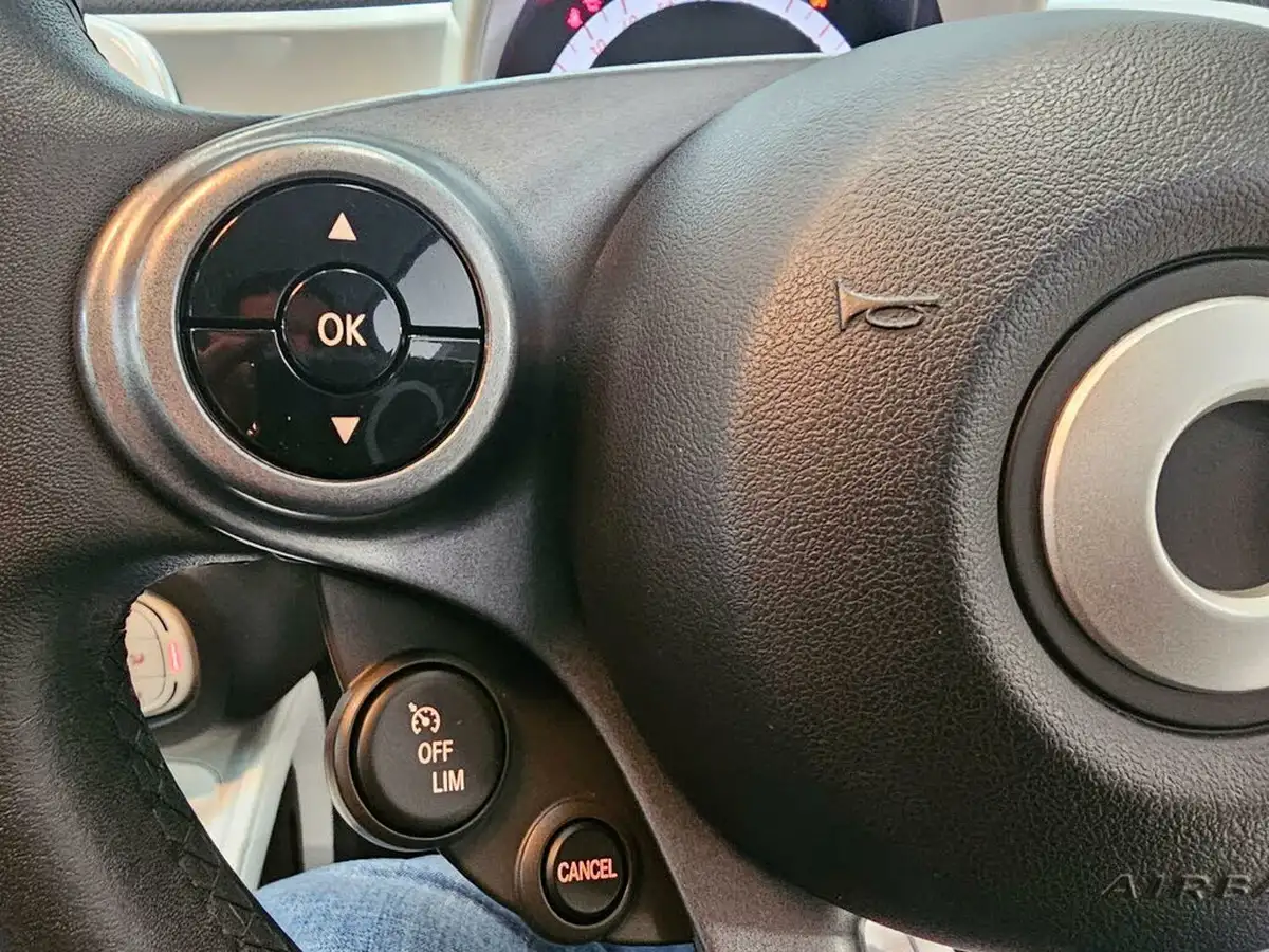 2015-smart-forfour-10-passion-ss-big-13