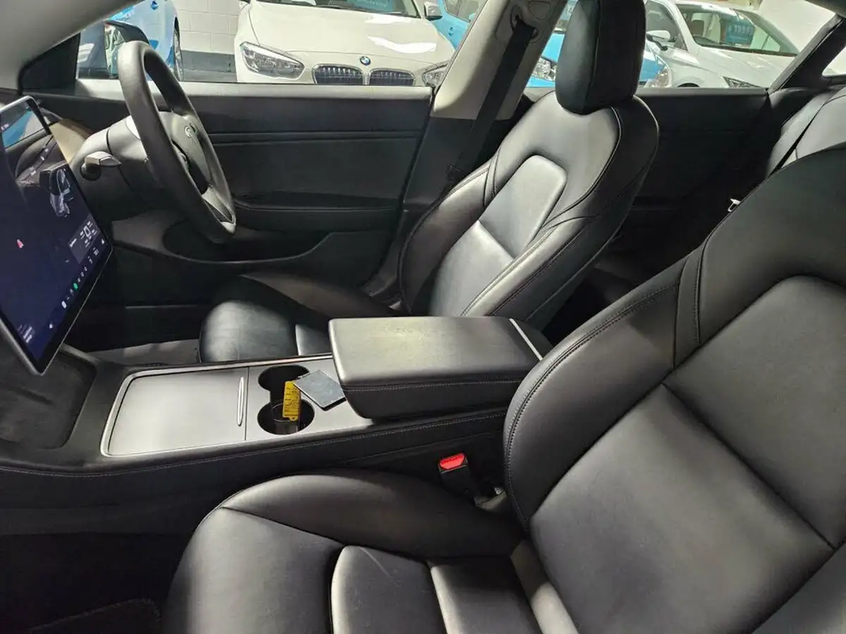 2020-tesla-model-3-e-long-range-big-9