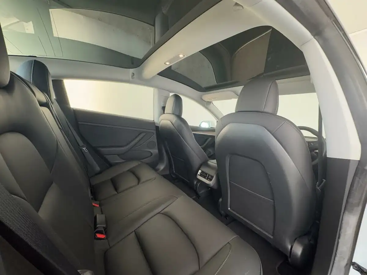 2021-tesla-model-3-e-long-range-awd-big-11