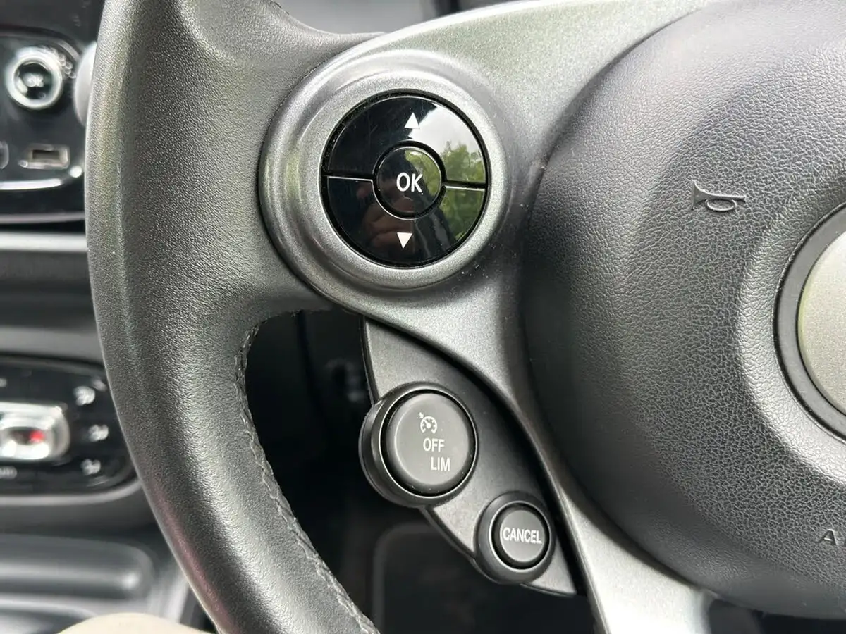 2015-smart-forfour-10-prime-ss-twinamic-big-30