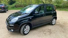 2014-fiat-panda-09-trekking-small-4