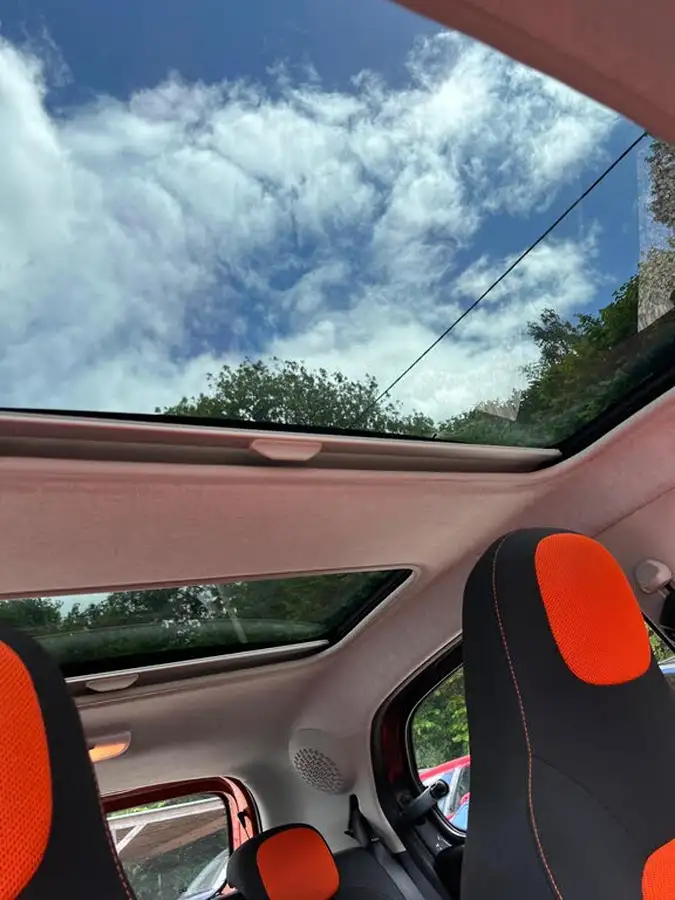 2015-smart-forfour-09-edition-1-big-42