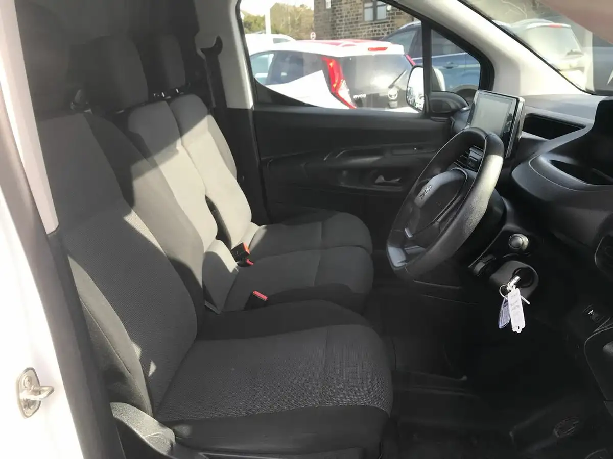 2020-peugeot-partner-15-bluehdi-1000-professional-100ps-eu6dt-panel-big-4