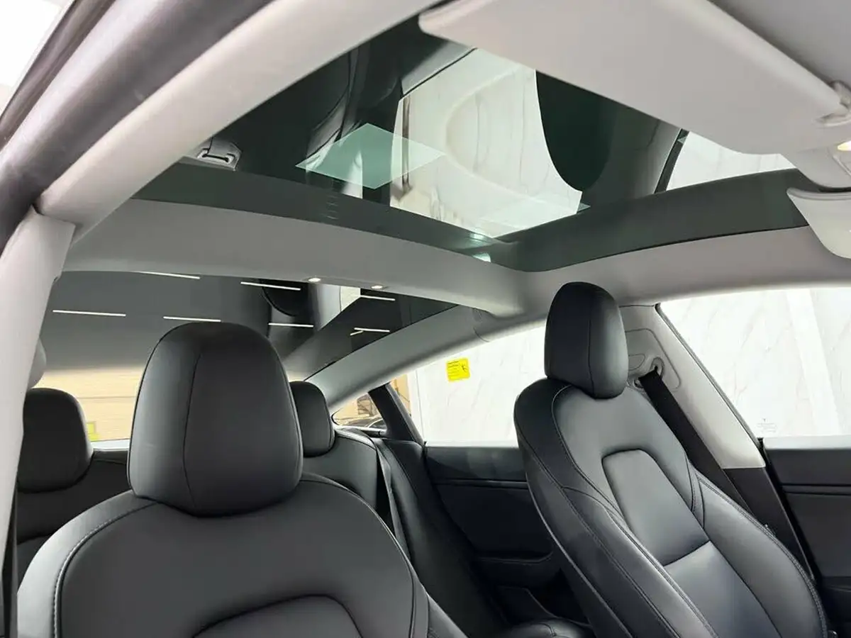 2021-tesla-model-3-e-standard-plus-big-26