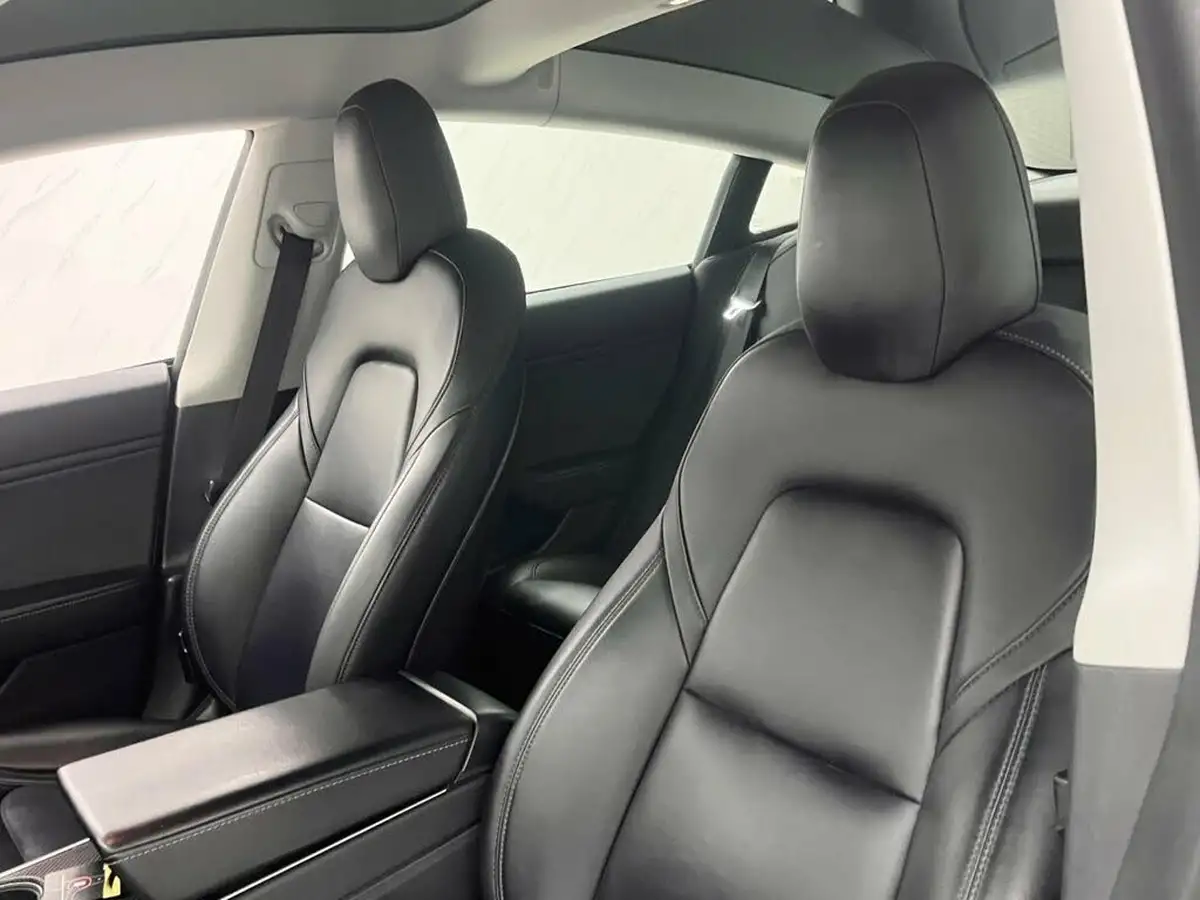 2019-tesla-model-3-e-standard-plus-big-13