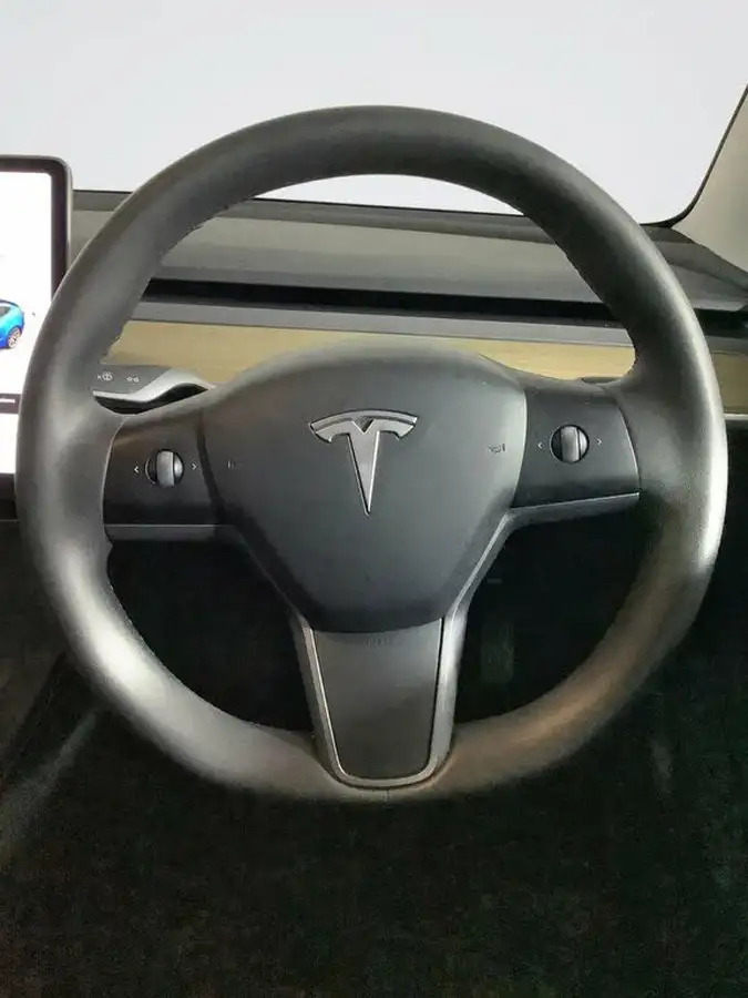 2021-tesla-model-3-e-standard-plus-big-13