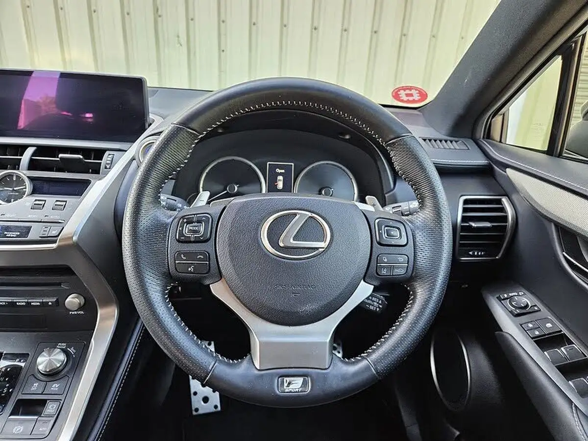 2018-lexus-nx-300h-25-f-sport-big-9