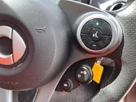 2015-smart-forfour-09-edition-1-small-32