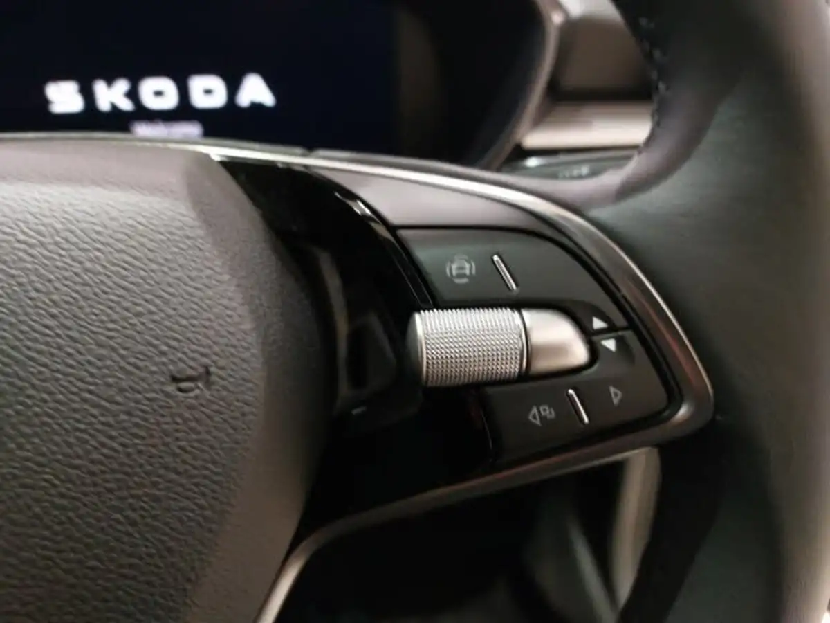2024-skoda-fabia-10-tsi-se-l-edtion-dsg-big-13