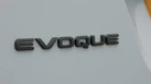 2021-land-rover-range-rover-evoque-20-d165-r-dynamic-small-20